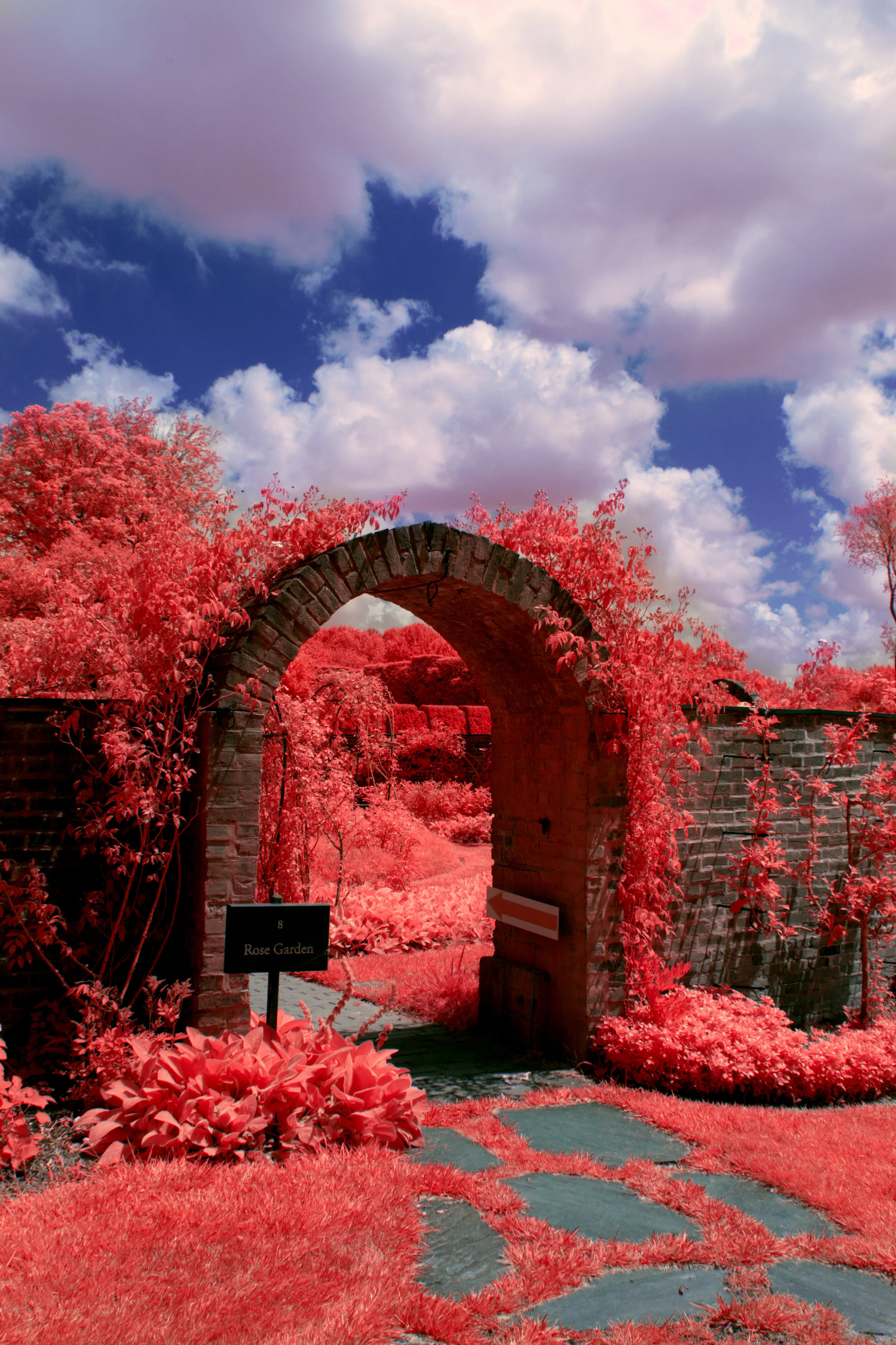 Mystical Gardens - Infrared Photo Walk at Ladew Topiary Gardens